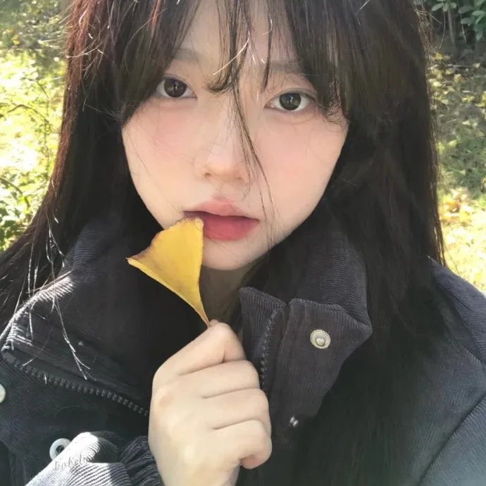 小鬼当家国语